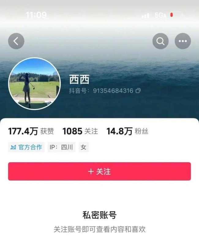 網(wǎng)紅律師西綠已被刑拘 假身份詐騙案曝光