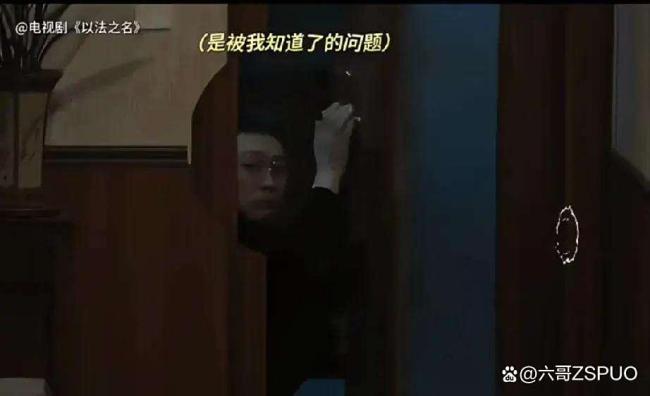 如何看待《以法之名》洪亮的选择