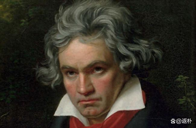 贝多芬头发里的铅实在太多了…