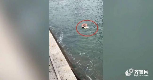 青島阿姨棧橋海邊跳海救游客 英勇救人獲贊