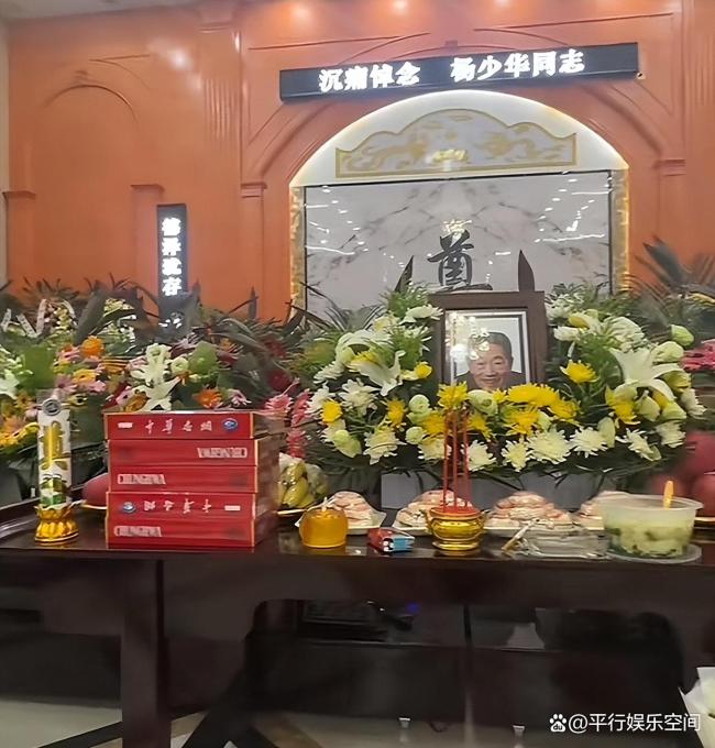 前央視主持人在楊少華靈堂前崩潰 老友痛哭悼念