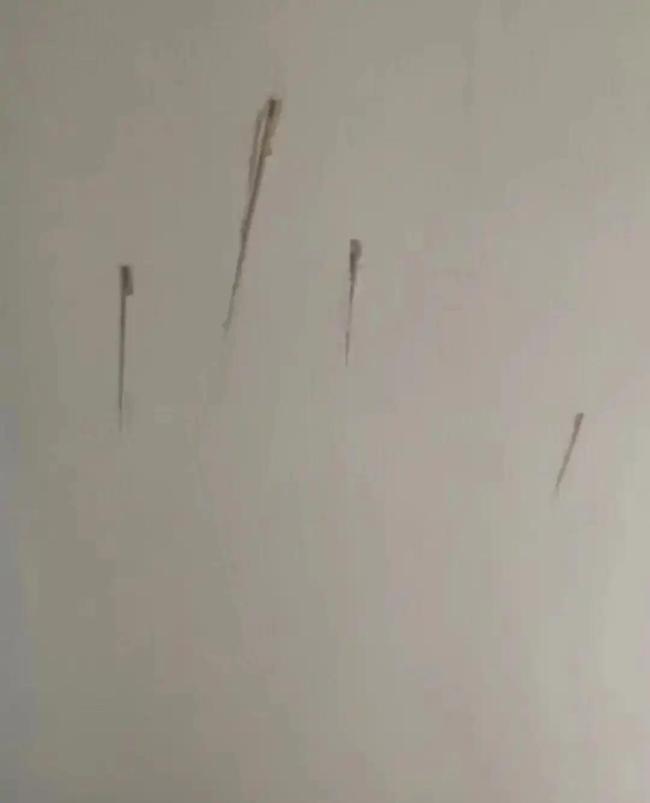 護士被同居男友殺害 家屬發(fā)聲 悲劇引發(fā)社會關注