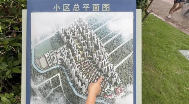住億元?jiǎng)e墅？黃楊鈿甜耳環(huán)事件追蹤 真相浮出水面