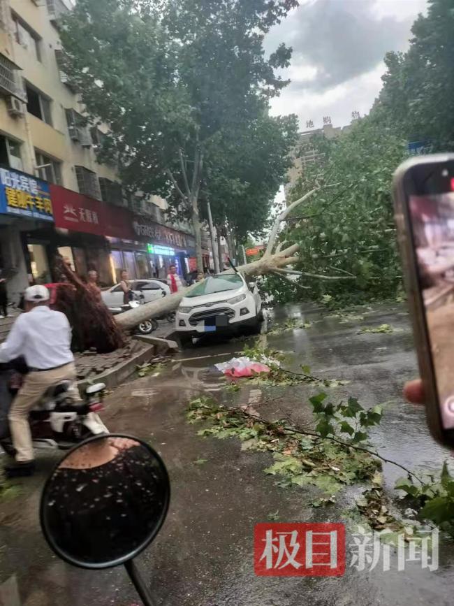 河南淅川突刮9級(jí)以上雷暴大風(fēng) 狂風(fēng)暴雨致多處受損