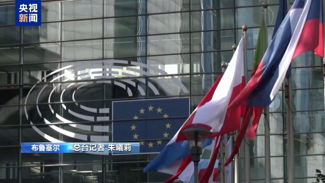 反击或妥协？欧盟在对美采取报复措施上陷入困境