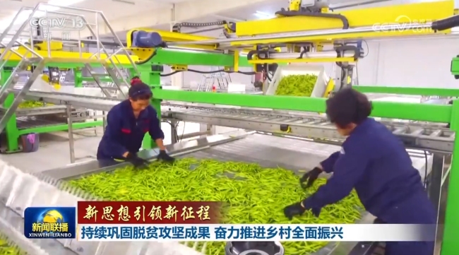 【新思想引领新征程】持续巩固脱贫攻坚成果 奋力推进乡村全面振兴