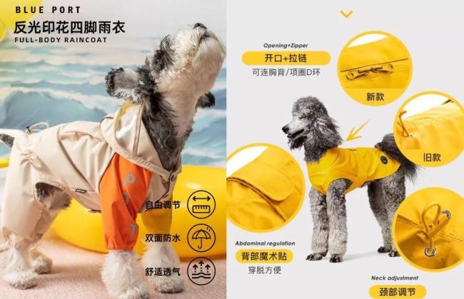 3000元一件 寵物服飾變金礦 市場潛力巨大
