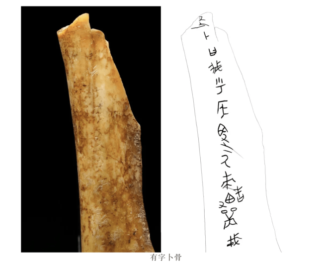 遙感衛(wèi)星發(fā)現(xiàn)商周之際最大城址 西周古城重見(jiàn)天日
