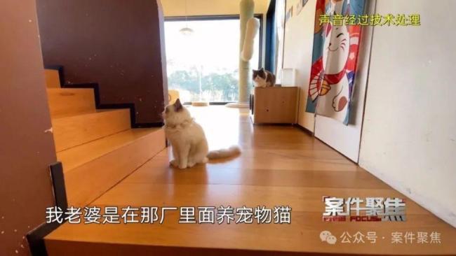 女子三年转走闺蜜17万工资 信任的代价