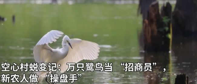 岳云鹏开演唱会为何激励争议 票价争议与跨界尝试