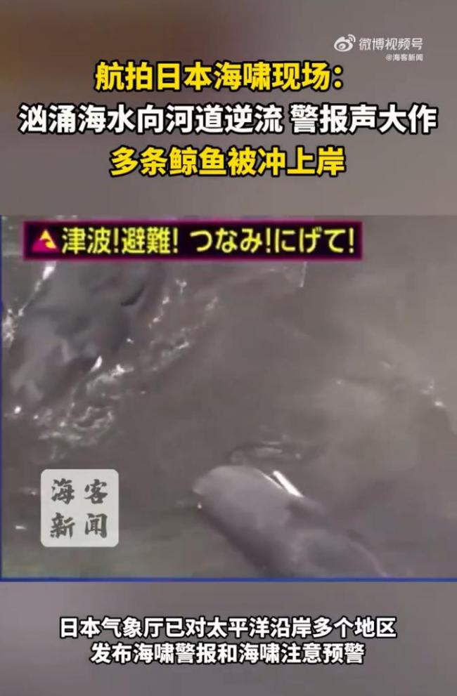 航拍日本海啸现场 海水逆流鲸鱼搁浅！
