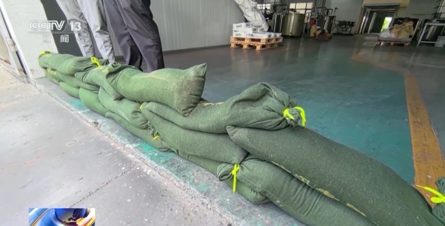 "竹節草"將於今天傍晚再次登陸 上海全力防台防汛