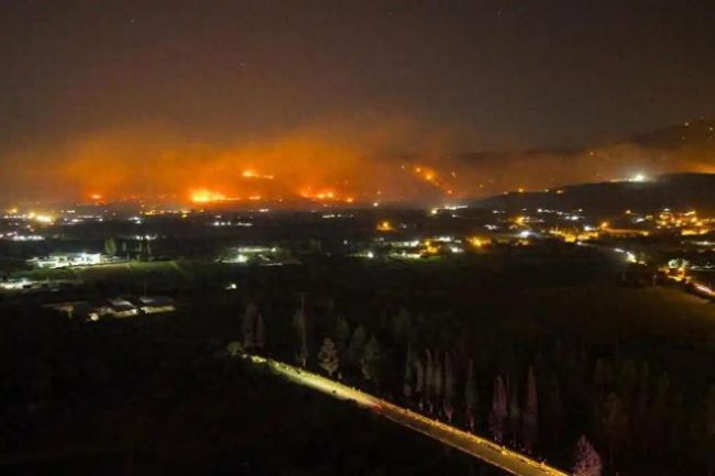 欧洲高温超50度 地球怎么了