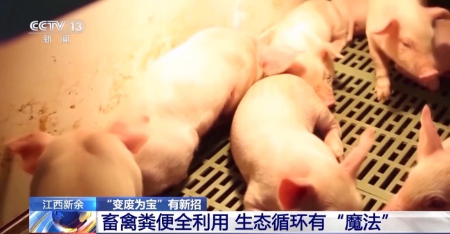 废旧塑料餐盒变身3D打印椅 “变废为宝”又有新招