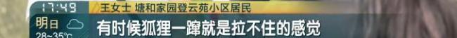 上海一小区有人遛北美赤狐 居民担忧安全问题