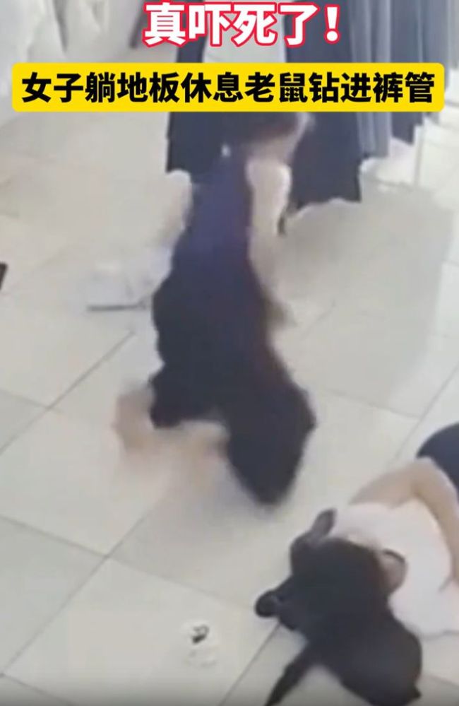 女子休息时老鼠钻进裤管 惊魂一刻尖叫连连