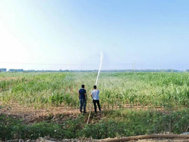 河南多地旱情严峻 省长：能浇尽浇 紧急拨付近2亿抗旱资金