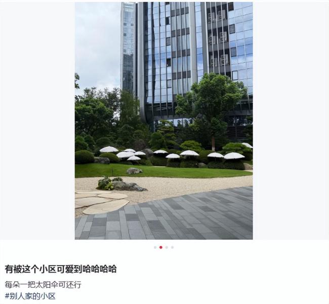 小区给绿植撑伞防晒：数万元一棵