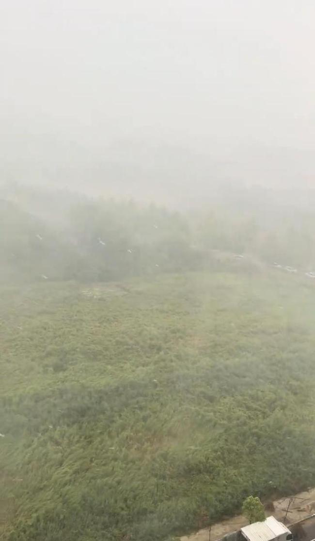 7月降水仅6毫米的河南驻马店下雨了 干旱土地迎来甘霖