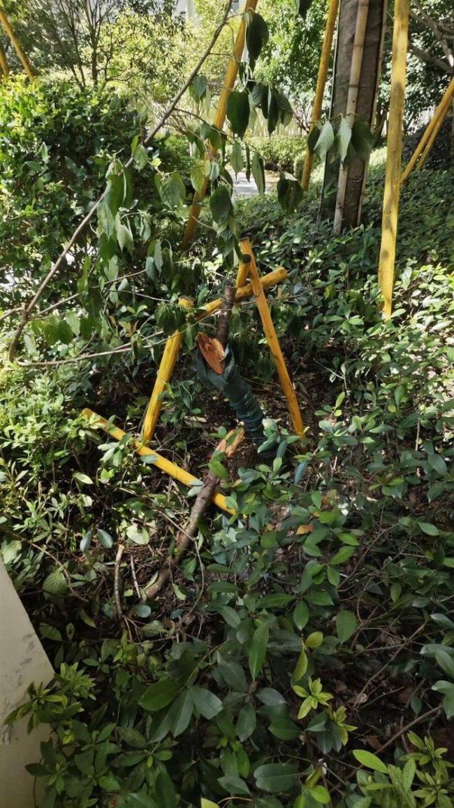 男孩补课从14楼窗户坠亡谁来买单 家属寻求真相