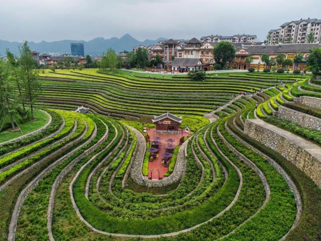 假期该有的松弛感！暑假反向旅游可以去哪？