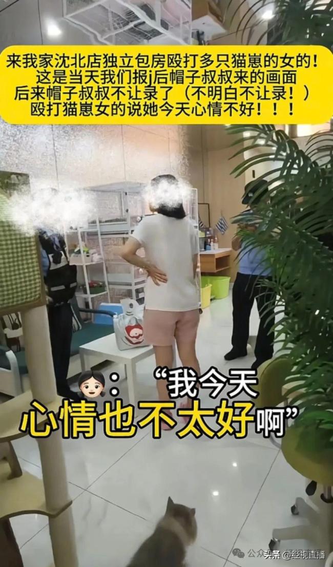 沈阳女子包房虐死4只猫 残忍行为引发众怒