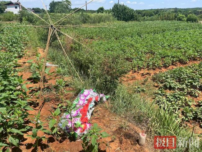 农民工如厕被气枪误杀 工友发声