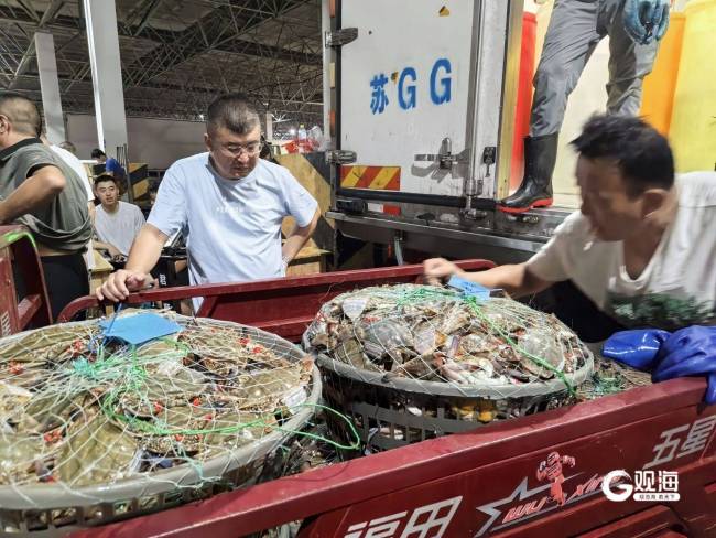 15萬(wàn)斤梭子蟹連夜入青 立秋“搶鮮戰(zhàn)”開啟