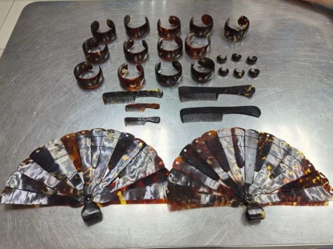 深圳湾海关查获濒危玳瑁制品26件 非法携带入境被截获