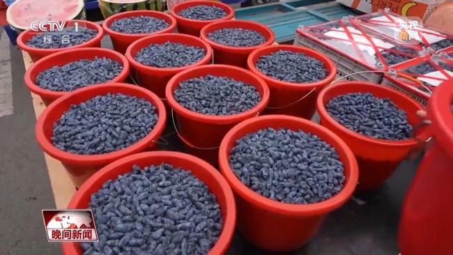 停伐十年 看“綠色寶庫(kù)”大興安嶺的轉(zhuǎn)型路→