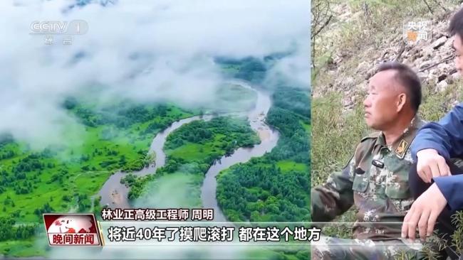 停伐十年 看“綠色寶庫(kù)”大興安嶺的轉(zhuǎn)型路→