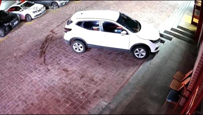 车主忘锁车男孩偷开“兜风” 这位女车主浑然不知…