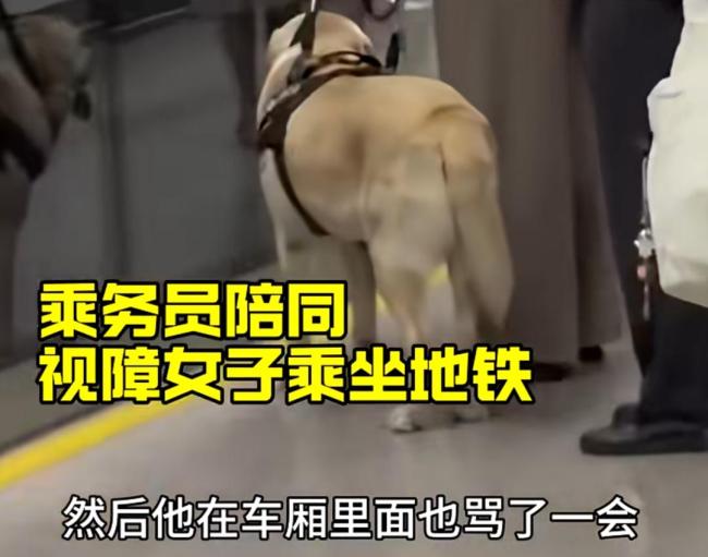 上海地铁一大爷辱骂旁边女士 导盲犬风波引发热议