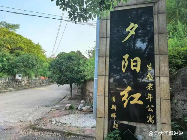 夕阳红公寓非法集资28亿爆雷后续 政府背书下的养老骗局