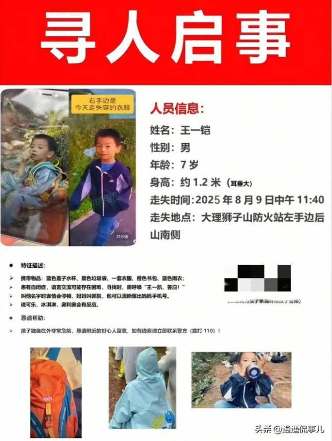 自闭症男孩走失 志愿者播放妈妈声音 三天仍未找到身影
