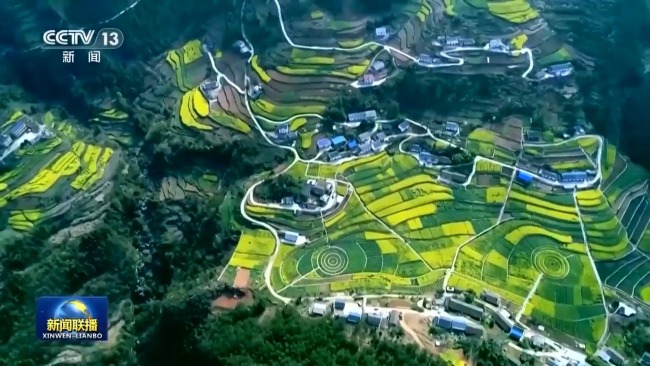 感知生態(tài)之變丨我國(guó)成為全球增綠最多最快的國(guó)家