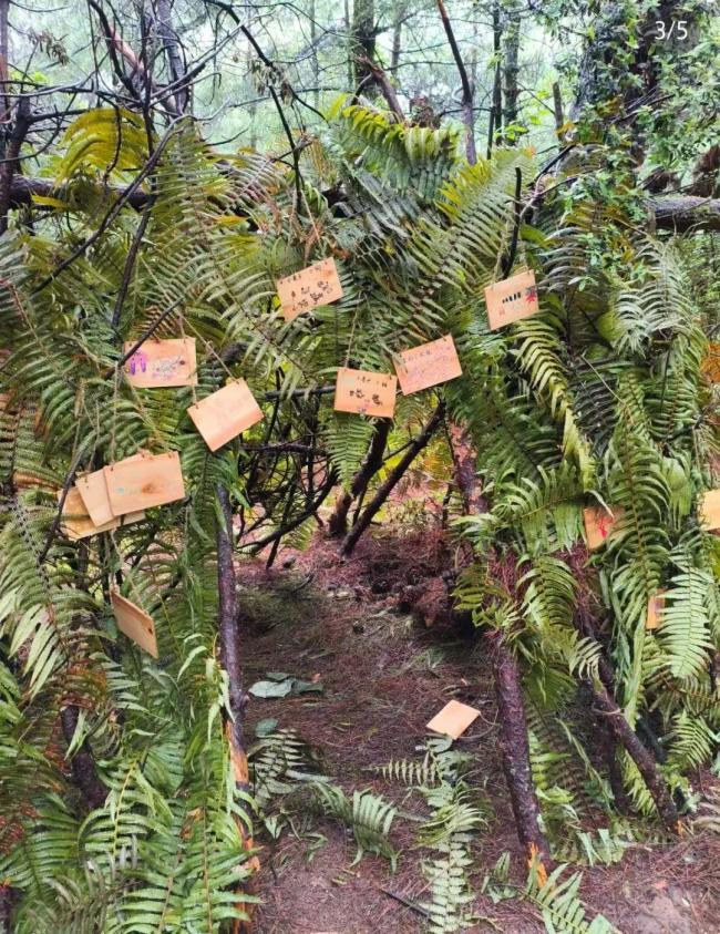 大理走失8歲男童父親發(fā)聲 感謝所有救援英雄