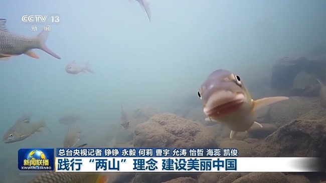 新思想引領(lǐng)新征程丨踐行“兩山”理念 建設(shè)美麗中國(guó)