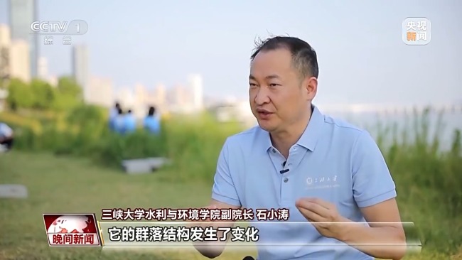 看见美丽中国丨“共抓大保护,不搞大开发” 长江新画卷正徐徐展开