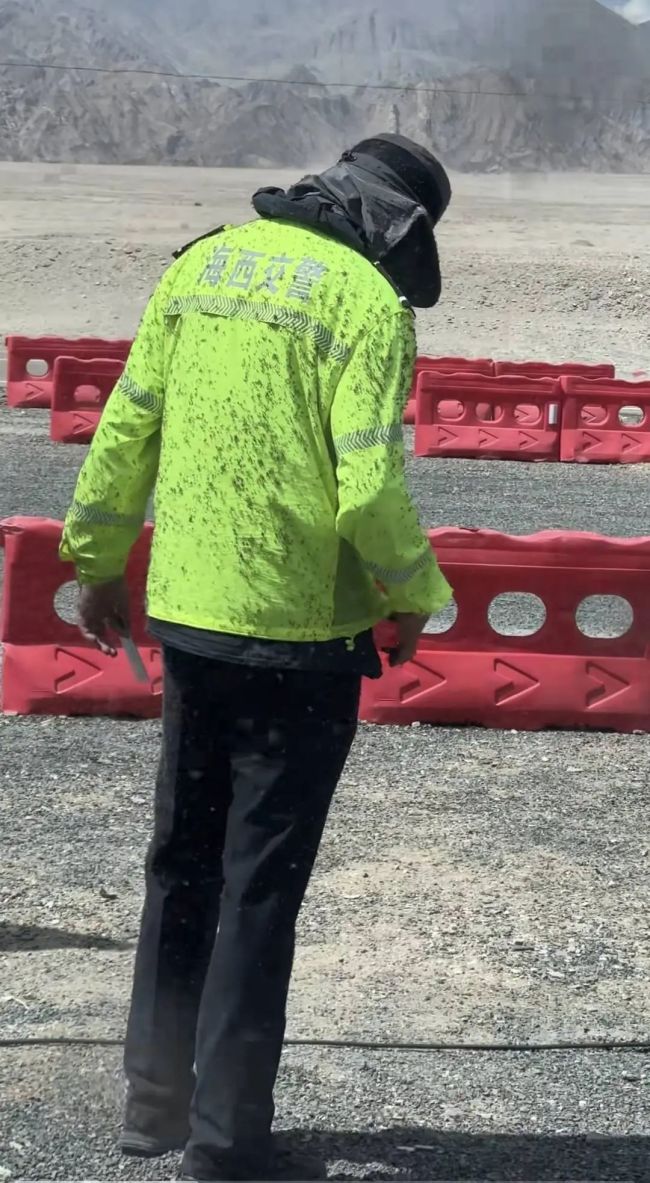 执勤交警身上爬满蚊虫震惊游客 当地回应