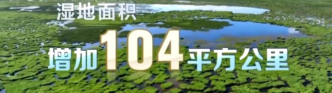 看見美麗中國丨三江源20年蛻變:千湖歸來 “中華水塔”煥新生