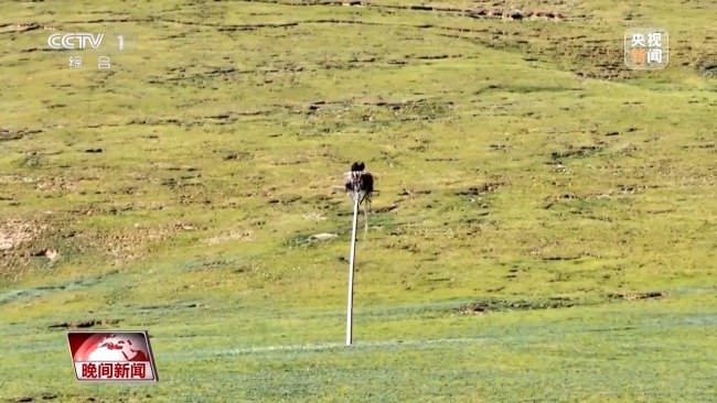 看見美麗中國丨三江源20年蛻變:千湖歸來 “中華水塔”煥新生