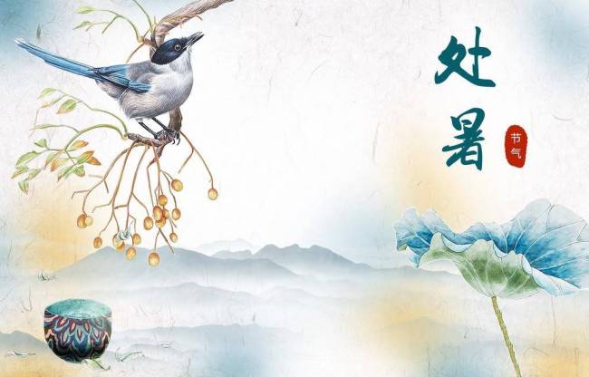 出伏雨涟涟，必定是灾年？农谚背后的原因 千年智慧与现代气象