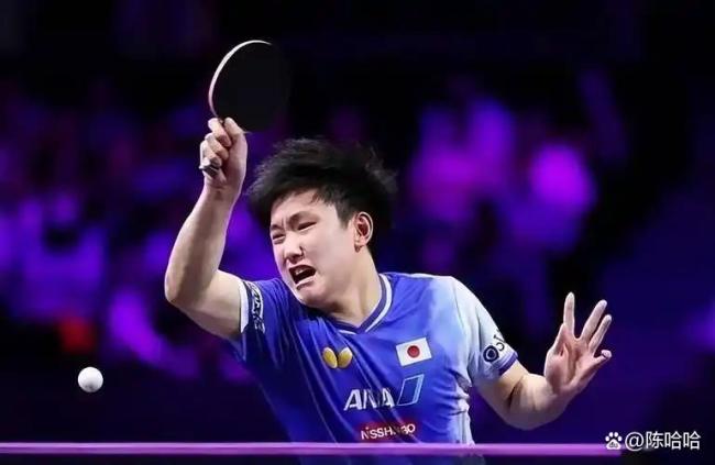 张本智和全程静音模式打懵对手