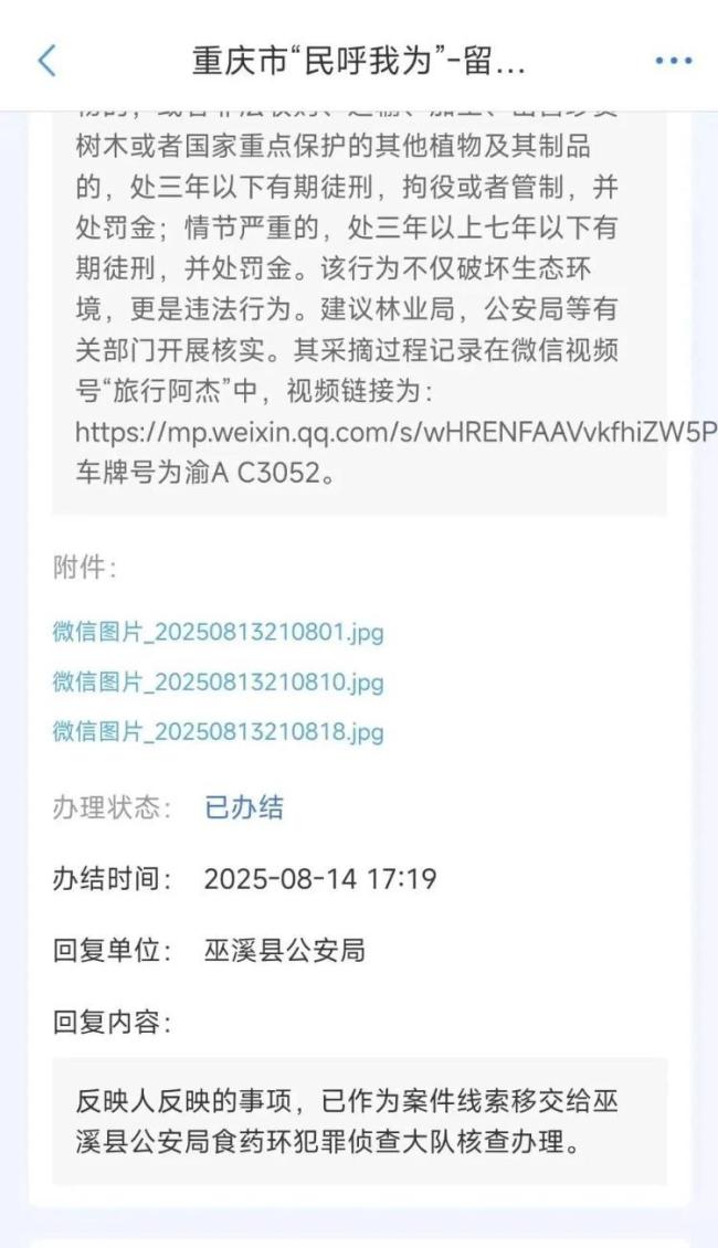 警方回应博主私采崖白菜被举报 案件已移交核查办理