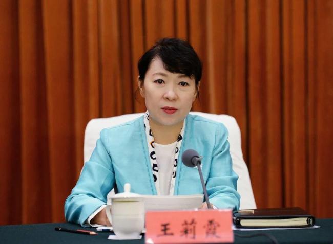 内蒙古自治区政府主席王莉霞被查