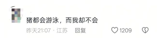 南京六头野猪组队渡长江 泳姿丝滑成功上岸