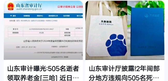 505名死亡人员领的养老金追回了没有 违规发放资金将被依法追回