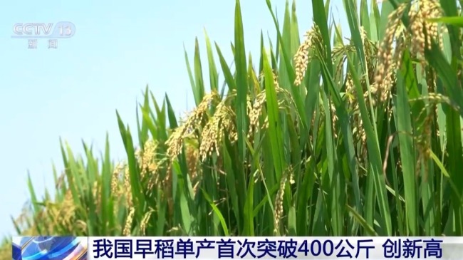 這一周，多領域好消息頻傳