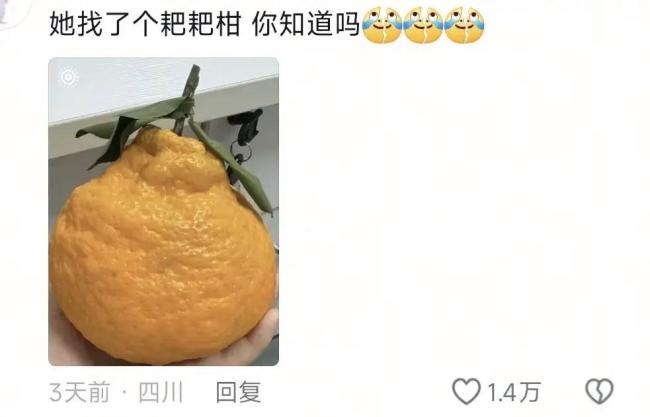 张维伊称不会被公论影响 坚捏自我作风